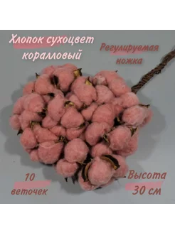 Хлопок Сухоцветы для декора