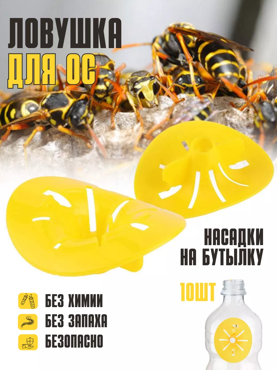 Ловушка от ос, шершней и мух