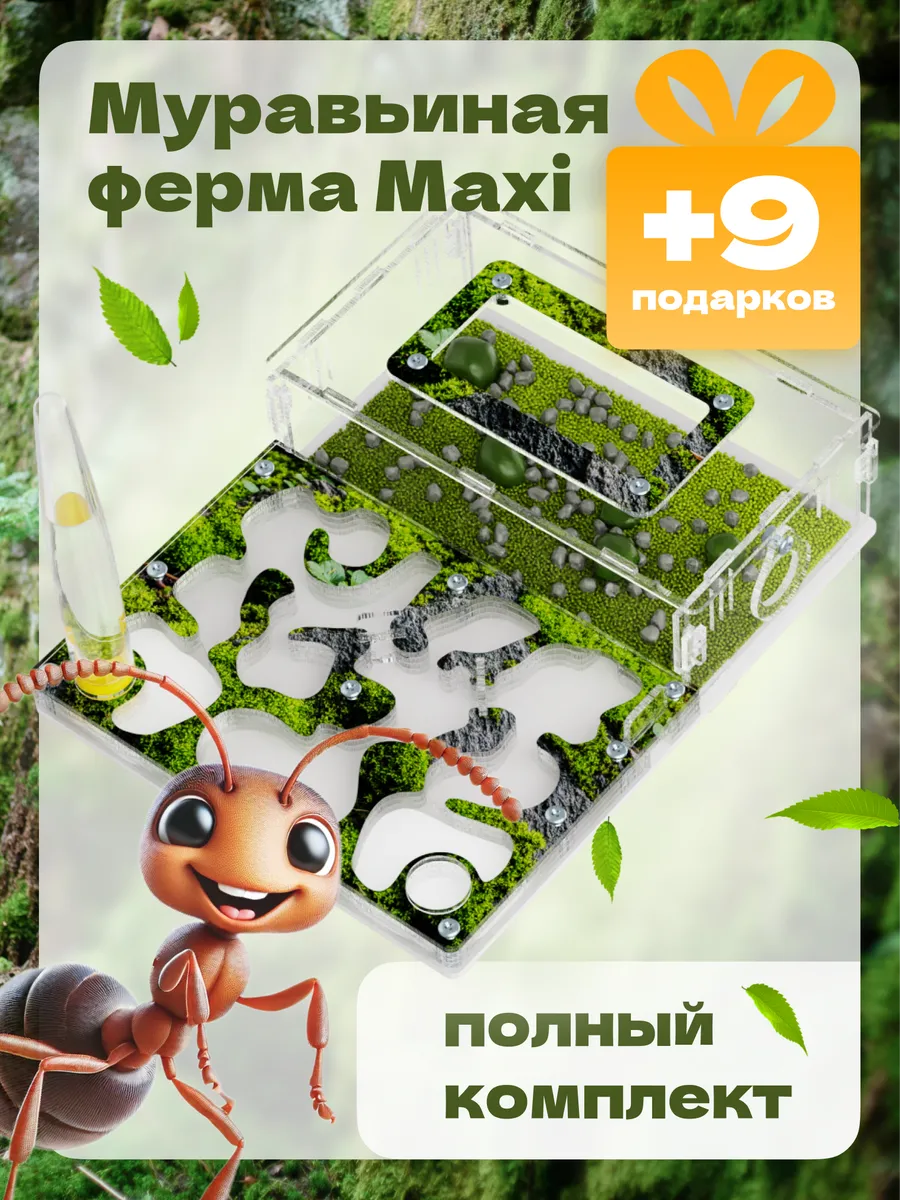 Муравьиная ферма maxi