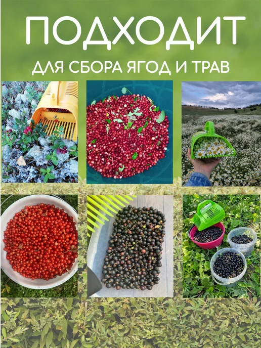 Плодосборник комбайн для сбора ягод 1шт, 1 шт, фото 3