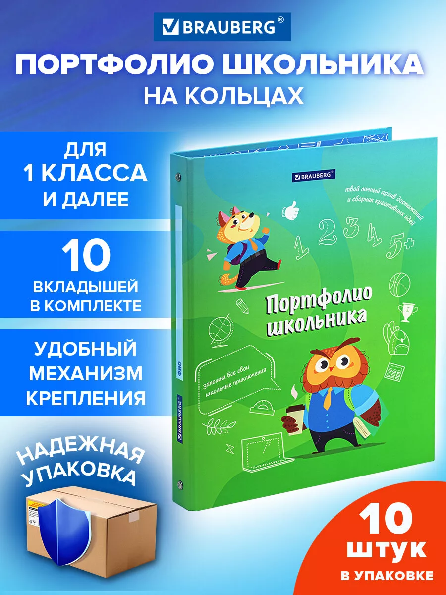 Портфолио школьника, папка А4 на кольцах 10 шт, 10 вкладышей