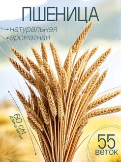 Композиция из сухостоев Пшеницы 55 веток 60см на комод