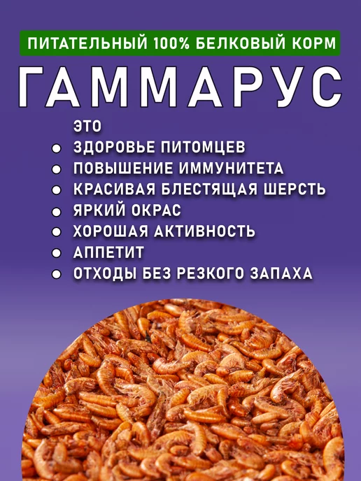 ZooПровизия Гаммарус для черепах, корм для рыб и грызунов, вариант, фото 2