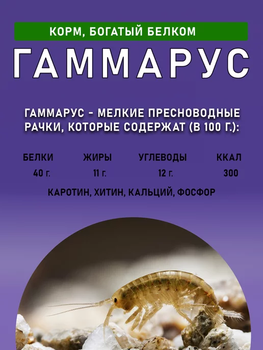 ZooПровизия Гаммарус для черепах, корм для рыб и грызунов, вариант, фото 4