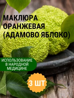 Интернет-магазин Wildberries: широкий ассортимент товаров - скидки каждый день!