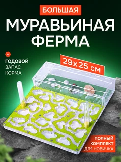 Большая муравьиная ферма