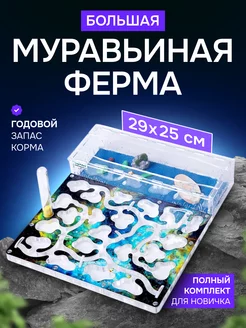 Большая муравьиная ферма TopAnt 245333085 купить за 2 501 ₽ в интернет-магазине Wildberries