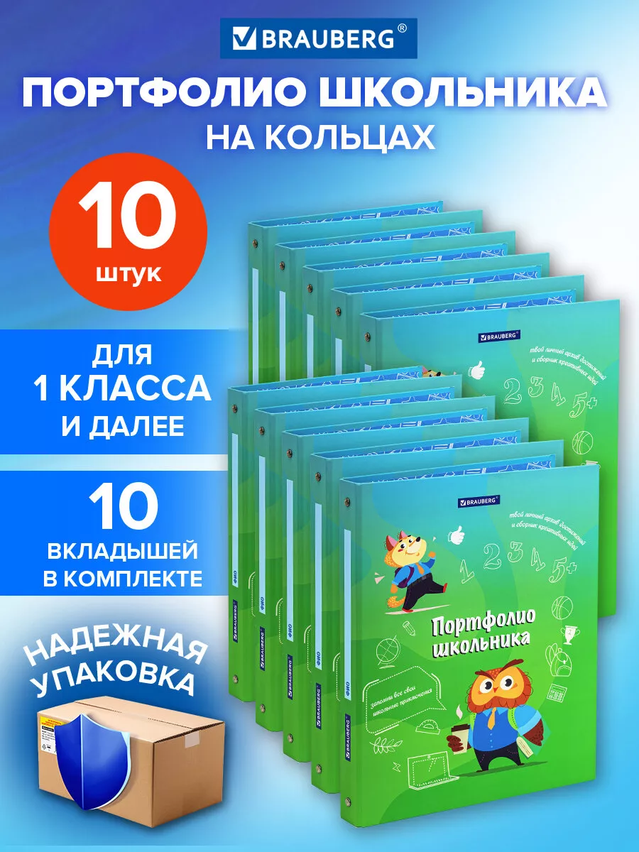 Портфолио школьника, папка А4 на кольцах 10 шт, 10 вкладышей