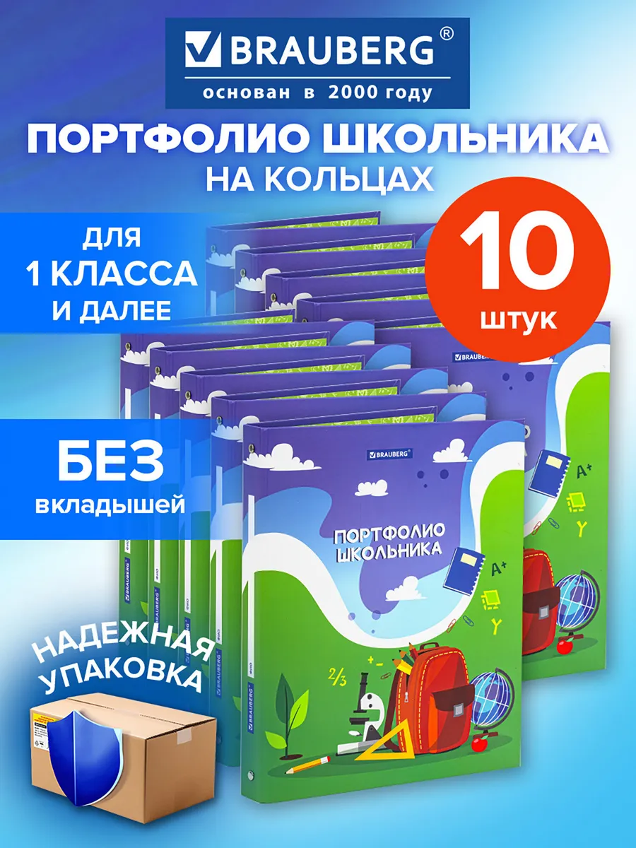 Портфолио школьника, папка А4 на кольцах 10 шт