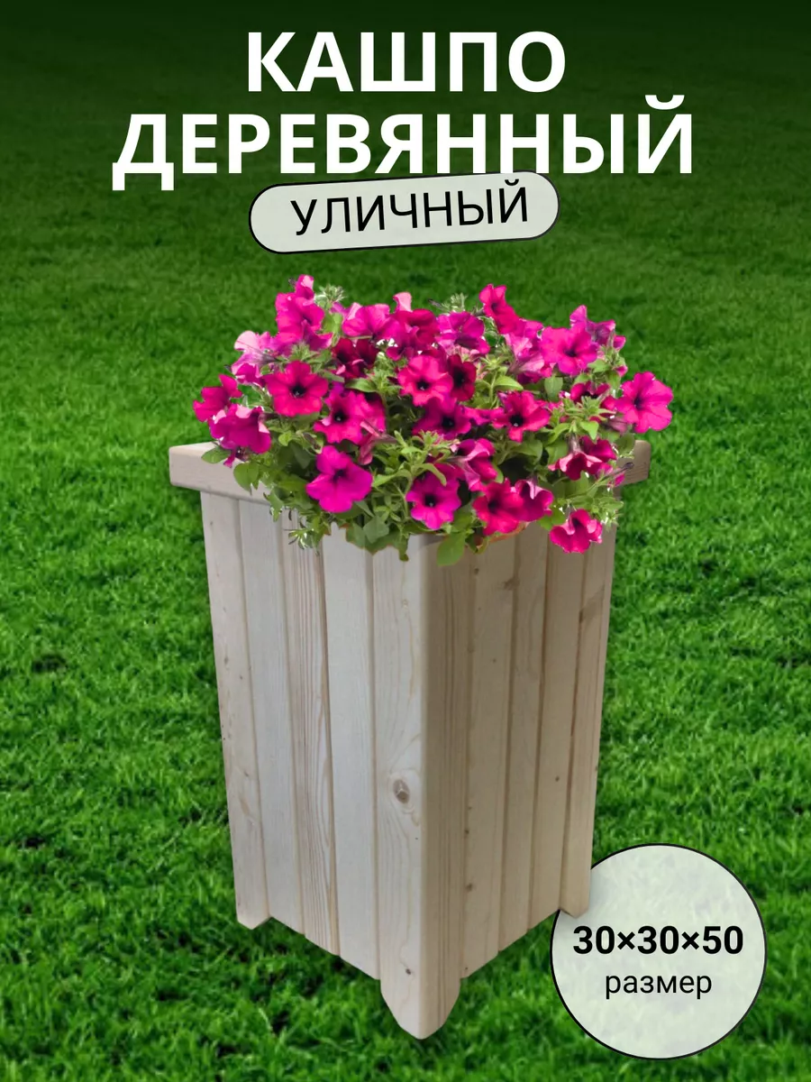 245371901