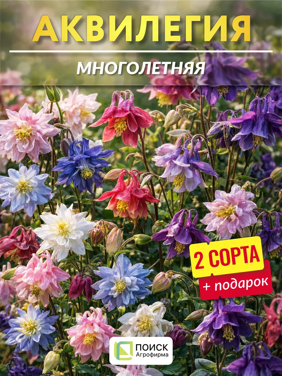 Семена аквилегии махровой многолетней