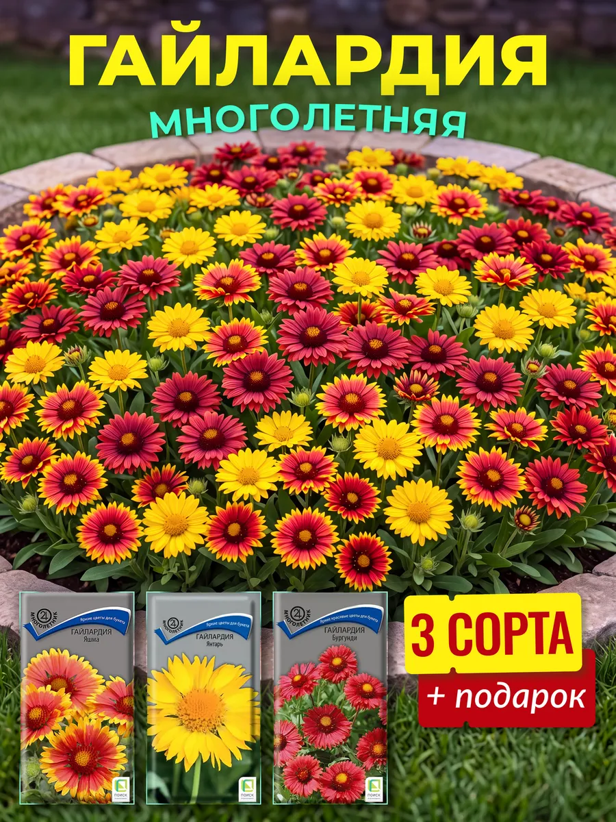 Семена гайлардия многолетняя
