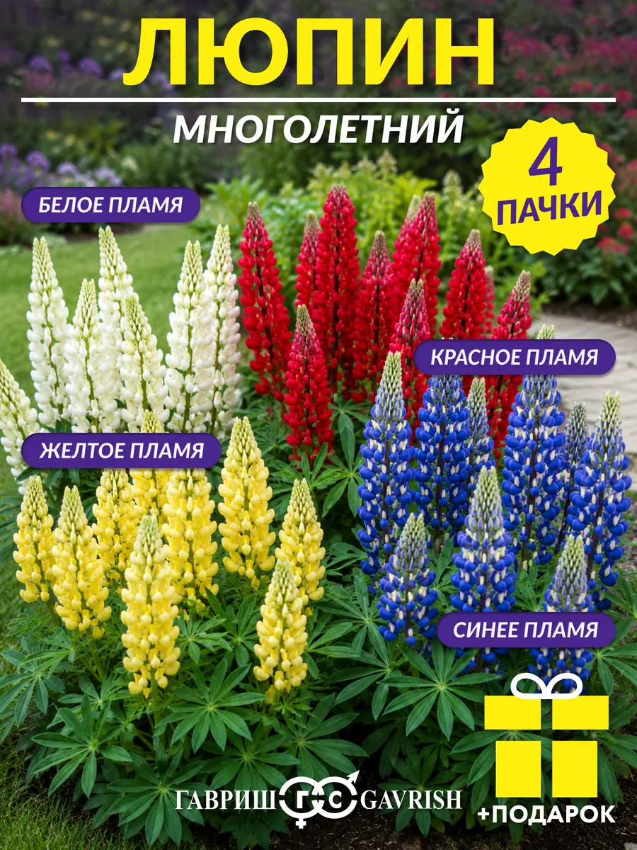 Семена люпина многолетнего