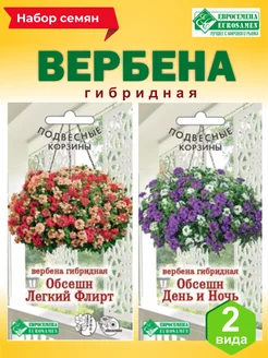 Семена цветов вербена гибридной Евросемена 245425962 купить за 257 ₽ в интернет-магазине Wildberries