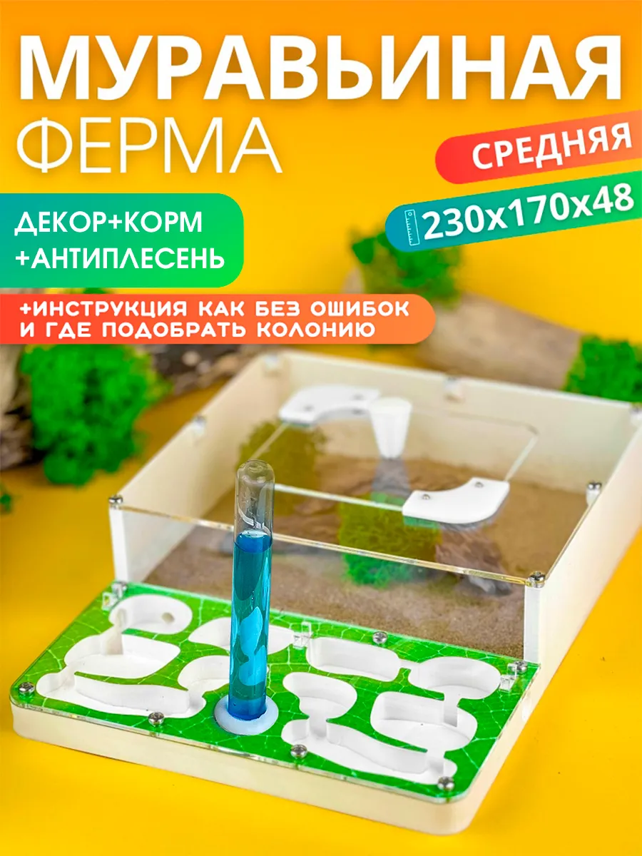 Средняя муравьиная ферма