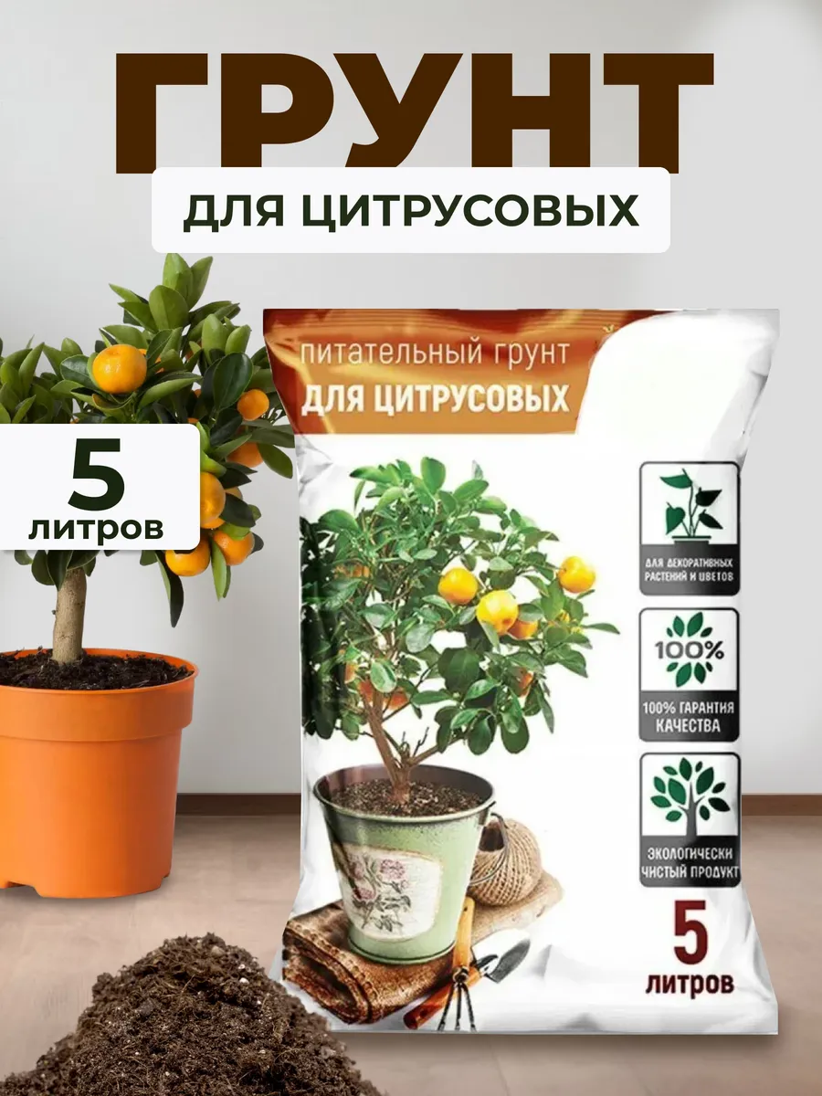 Грунт для цитрусовых