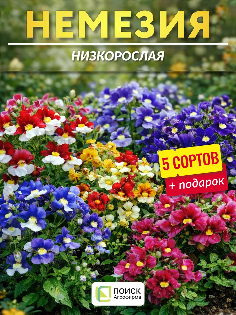 Семена немезия