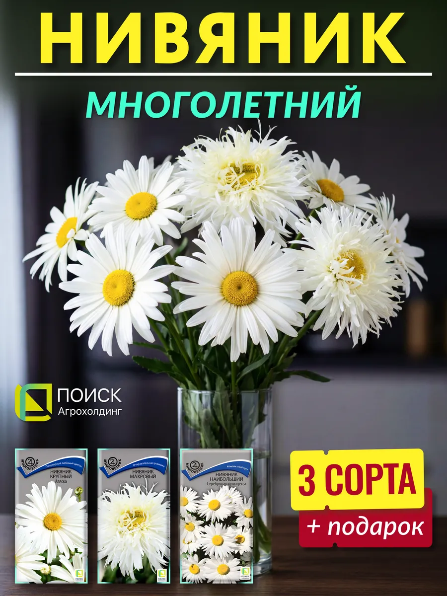 Семена ромашки многолетней Нивяник