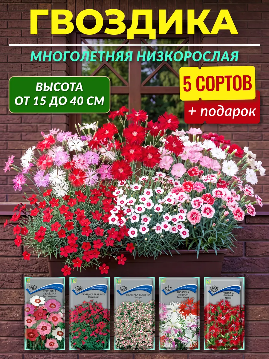 Семена гвоздики многолетней низкорослой
