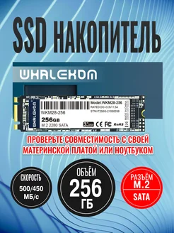 Твердотельный накопитель SSD2280 M.2 256 ГБ Whalekom 245542102 купить за 1 643 ₽ в интернет-магазине Wildberries