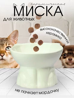 Керамическая миска для кошки