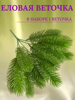 Еловые ветки для декора для творчества