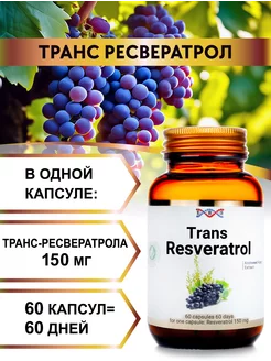 Транс ресвератрол 150 мг Энерго Био Системы 245795466 купить за 1 080 ₽ в интернет-магазине Wildberries