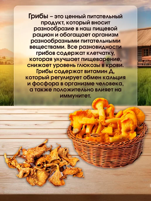Лесная фея Грибы лисички молотые 50г, 50 г, фото 2