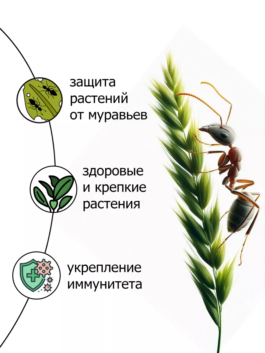 Как избавиться от муравьев в цветочном горшке?