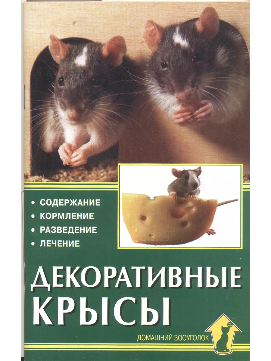 Декоративные крысы. Содержание. Кормление. Разведение
