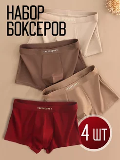 Трусы боксеры Alexander Brant 246117120 купить за 1 724 ₽ в интернет-магазине Wildberries