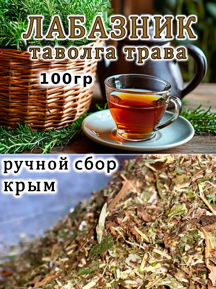 Таволга