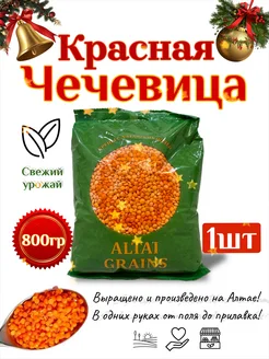 Чечевица красная 1 (0,8) кг ALTAI GRAINS 246229287 купить за 170 ₽ в интернет-магазине Wildberries