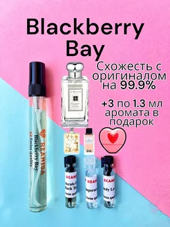 Масляные духи стойкие со шлейфом Blackberry Bay 10 мл