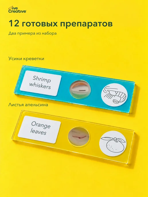 Give Creative Детский микроскоп школьный с подсветкой и образцами, белый, фото 2