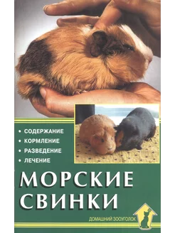 Морские свинки. Содержание. Кормление. Разведение…