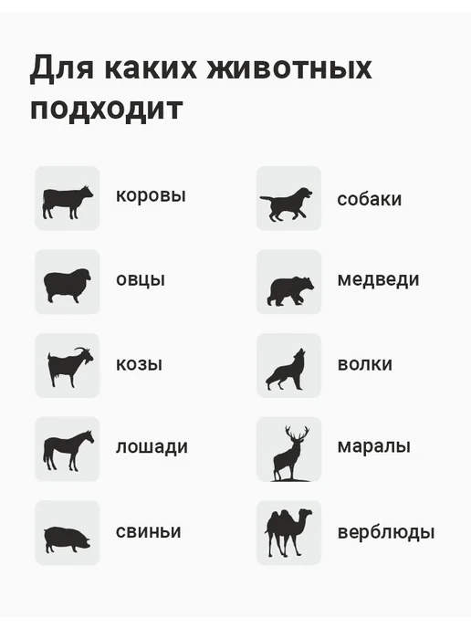Электропастух ТОР Электропастух 3 Дж, вариант, фото 3