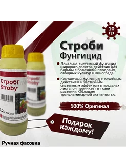 Фунгицид Строби 10 г Basf 246424822 купить за 180 ₽ в интернет-магазине Wildberries