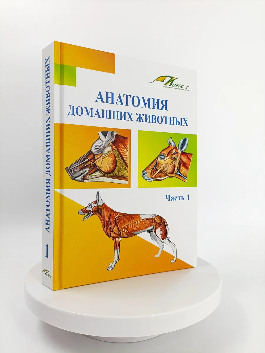 Анатомия домашних животных. Учебник. Часть 1