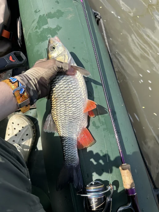 FLIP FISH Блесна вращающаяся вертушка для рыбалки на щуку и судака, синий, фото 2
