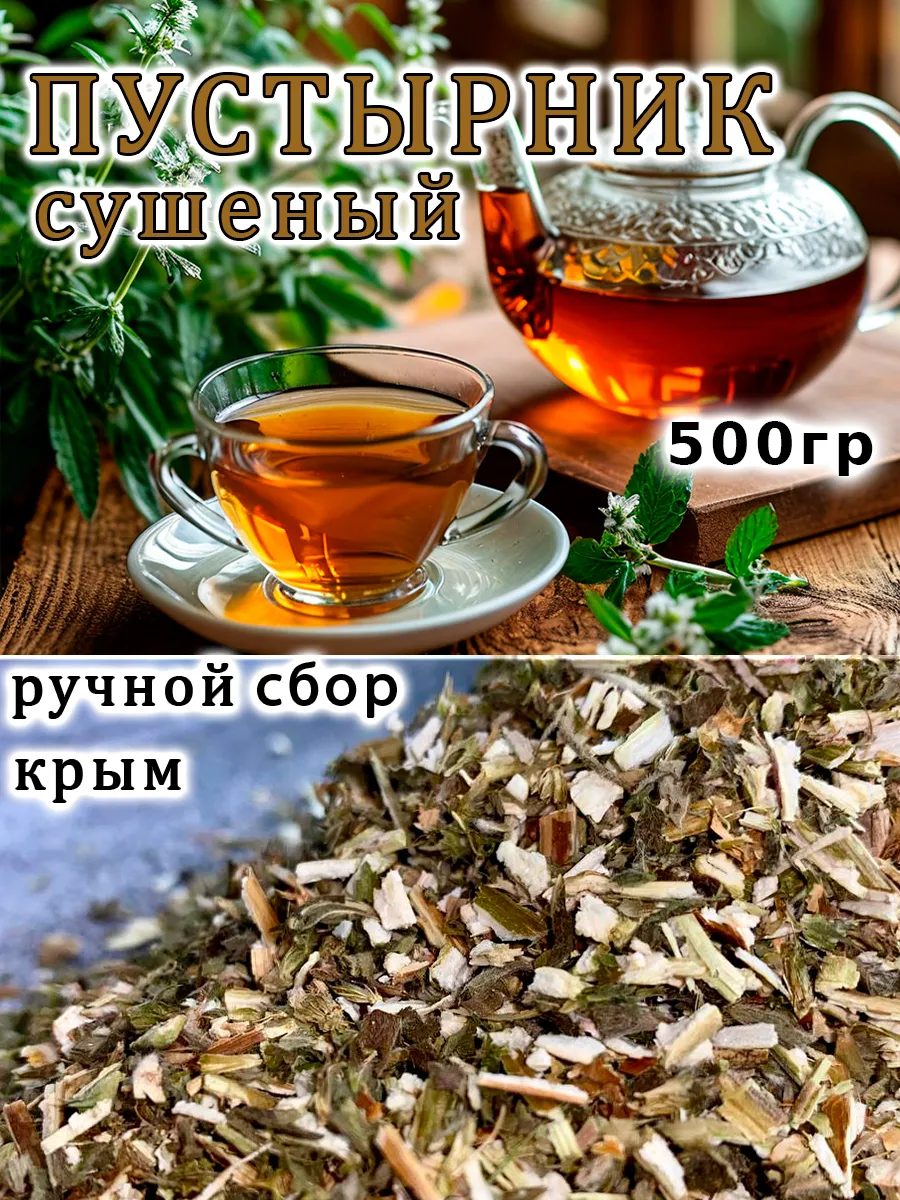 Пустырник трава