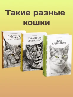 Такие разные кошки. Комплект из 3 книг