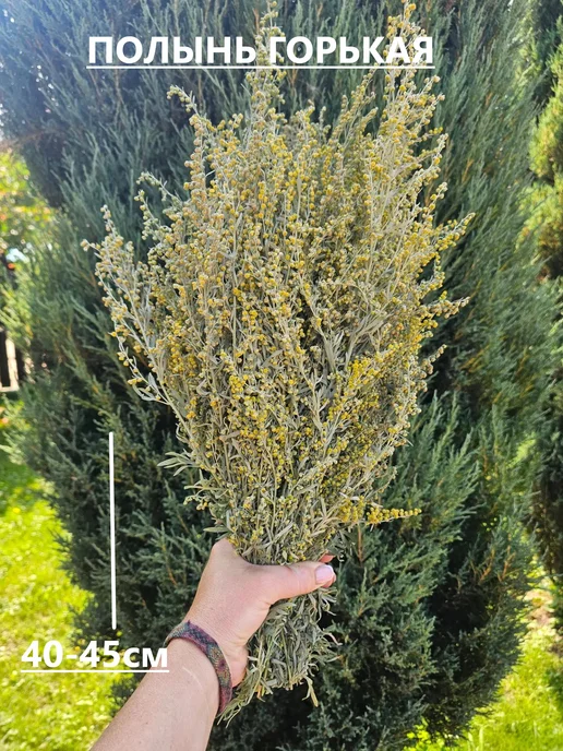 SV Соколова Веник для бани и сауны из полыни натуральный, вариант, фото 2