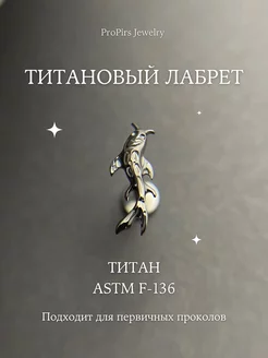 Пирсинг лабрет из титана ProPirs Jewelry 246540376 купить за 1 185 ₽ в интернет-магазине Wildberries