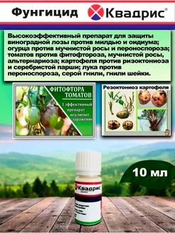 Квадрис Ск PharmAgro 246558870 купить за 178 ₽ в интернет-магазине Wildberries