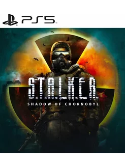 Игра STALKER Shadow of Chornobyl PS4 PS5