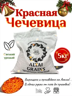 Чечевица красная 5 кг ALTAI GRAINS 246608562 купить за 697 ₽ в интернет-магазине Wildberries