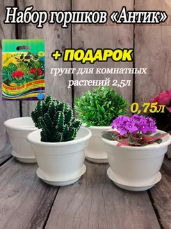 Горшки для цветов и суккулентов 0,75 набор 4шт грунт SABURG 246625584 купить за 497 ₽ в интернет-магазине Wildberries