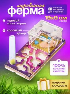 Малая муравьиная ферма формикарий