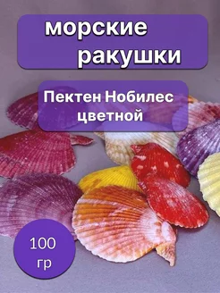 Пектен Нобилес цветной 100 гр Delavise 246688635 купить за 225 ₽ в интернет-магазине Wildberries